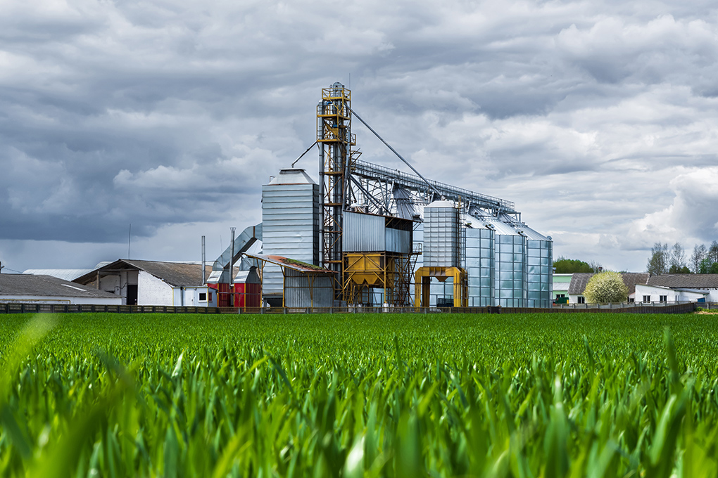 Fertilizers industry EPC and maintenance services